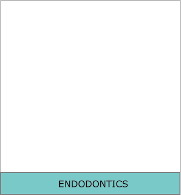 ENDODONTICS